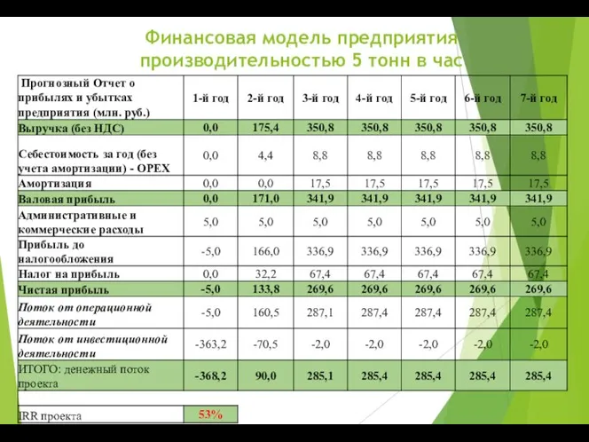 Финансовая модель предприятия производительностью 5 тонн в час