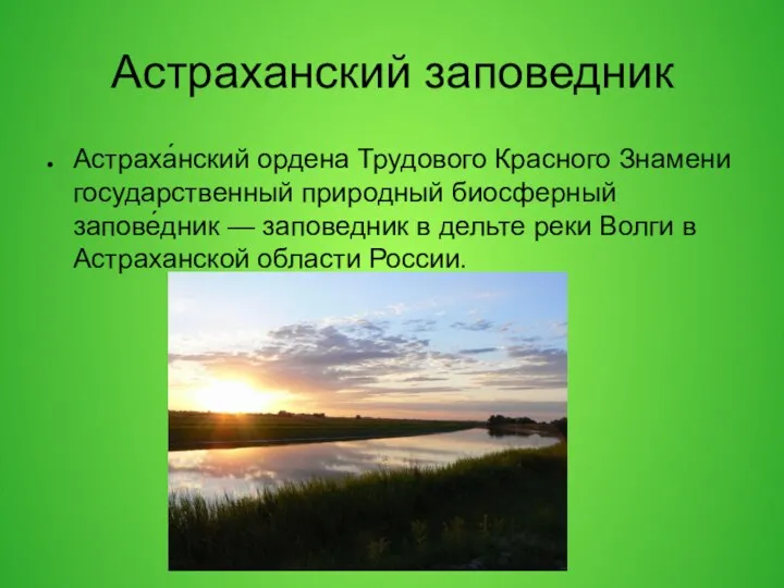 Астраханский заповедник Астраха́нский ордена Трудового Красного Знамени государственный природный биосферный запове́дник