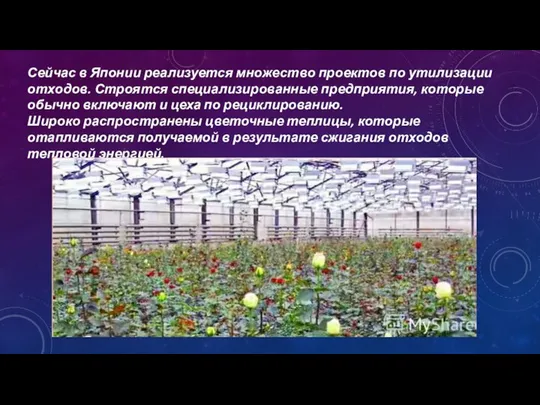 Сейчас в Японии реализуется множество проектов по утилизации отходов. Строятся специализированные