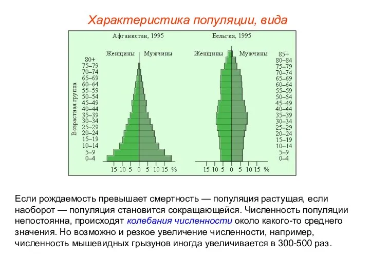 Если рождаемость превышает смертность — популяция растущая, если наоборот — популяция