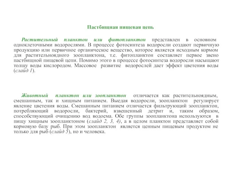 Пастбищная пищевая цепь Растительный планктон или фитопланктон представлен в основном одноклеточными