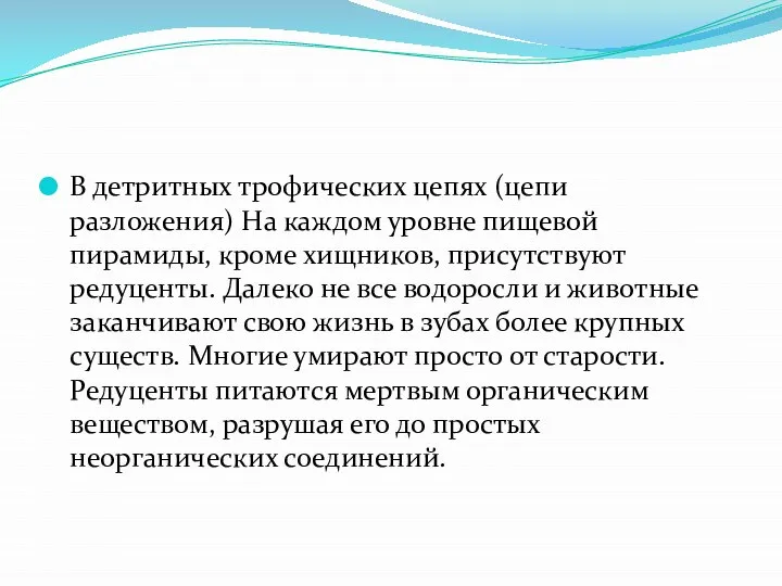 В детритных трофических цепях (цепи разложения) На каждом уровне пищевой пирамиды,