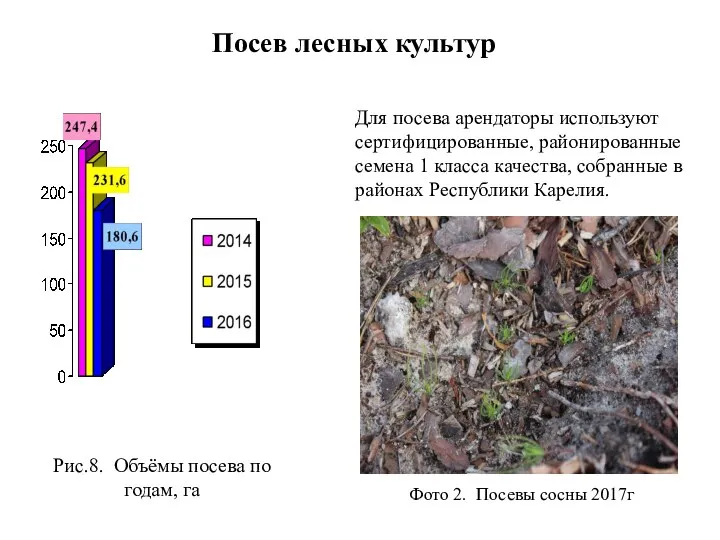 Посев лесных культур Рис.8. Объёмы посева по годам, га Для посева