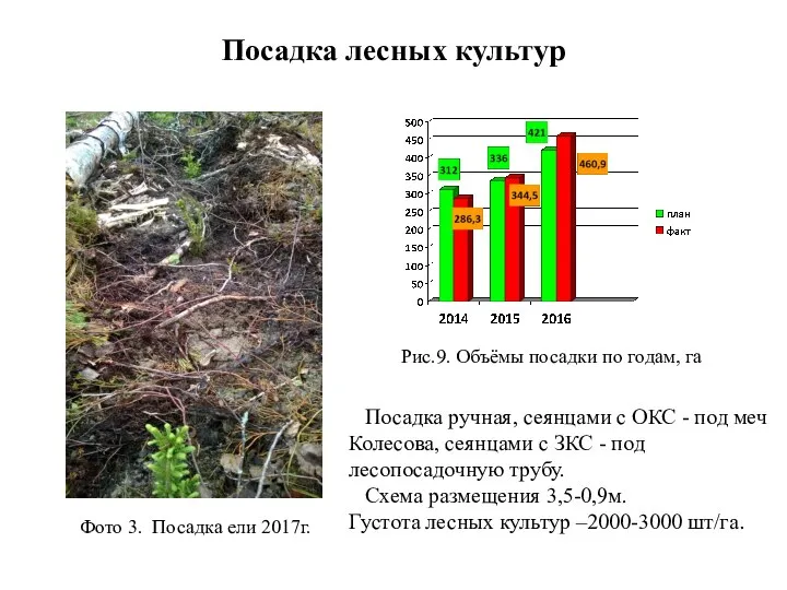 Посадка лесных культур Рис.9. Объёмы посадки по годам, га Фото 3.