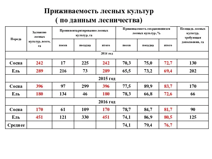 Приживаемость лесных культур ( по данным лесничества)