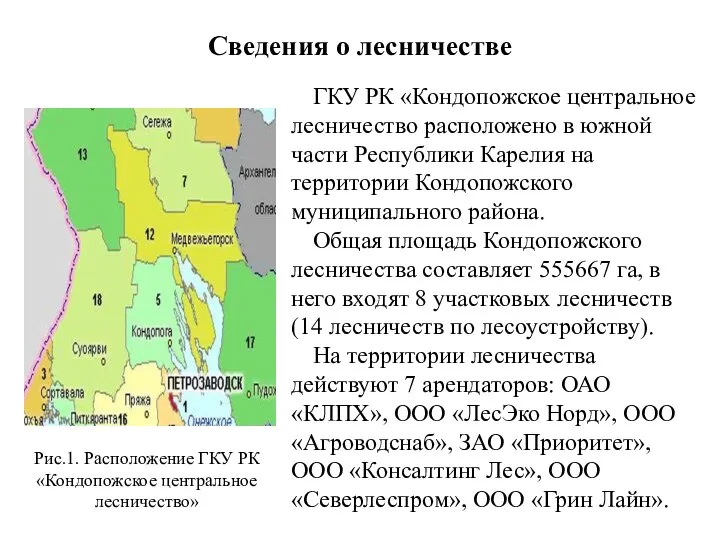 Сведения о лесничестве ГКУ РК «Кондопожское центральное лесничество расположено в южной