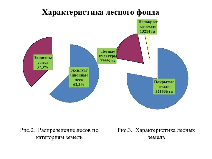 Характеристика лесного фонда Рис.2. Распределение лесов по категориям земель Рис.3. Характеристика лесных земель