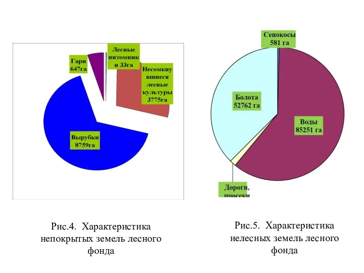 Рис.5. Характеристика нелесных земель лесного фонда Рис.4. Характеристика непокрытых земель лесного фонда