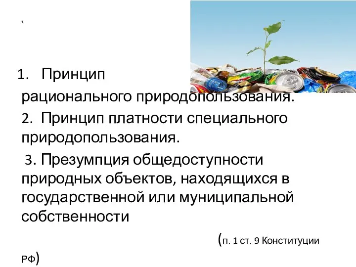 1 Принцип рационального природопользования. 2. Принцип платности специального природопользования. 3. Презумпция