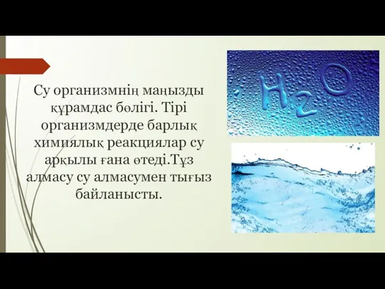 Су организмнің маңызды құрамдас бөлігі. Тірі организмдерде барлық химиялық реакциялар су