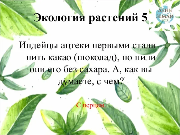 Экология растений 5 Индейцы ацтеки первыми стали пить какао (шоколад), но