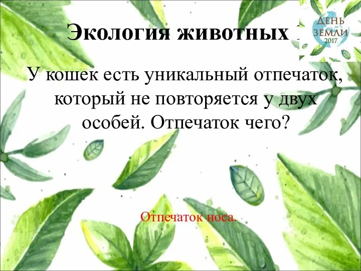 Экология животных 1 У кошек есть уникальный отпечаток, который не повторяется