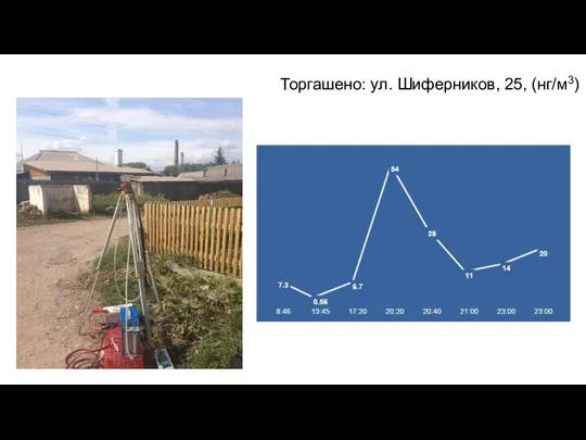 Торгашено: ул. Шиферников, 25, (нг/м3)