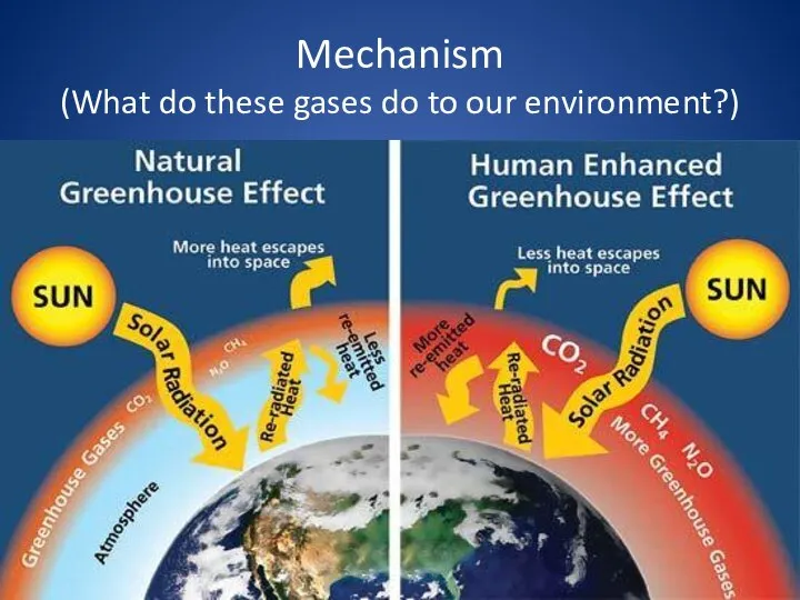 Mechanism (What do these gases do to our environment?)