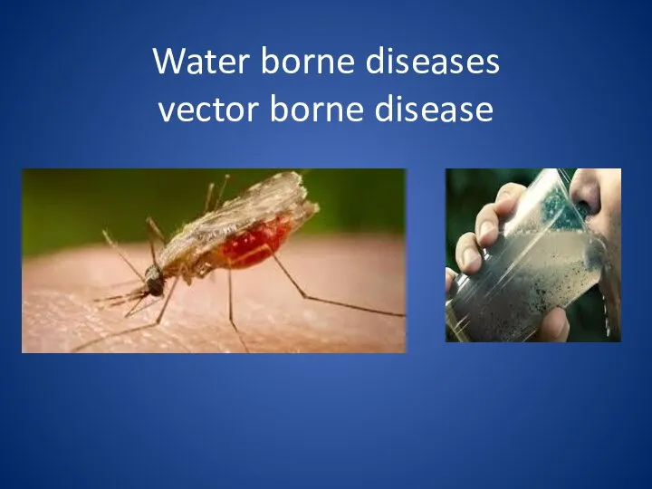 Water borne diseases vector borne disease
