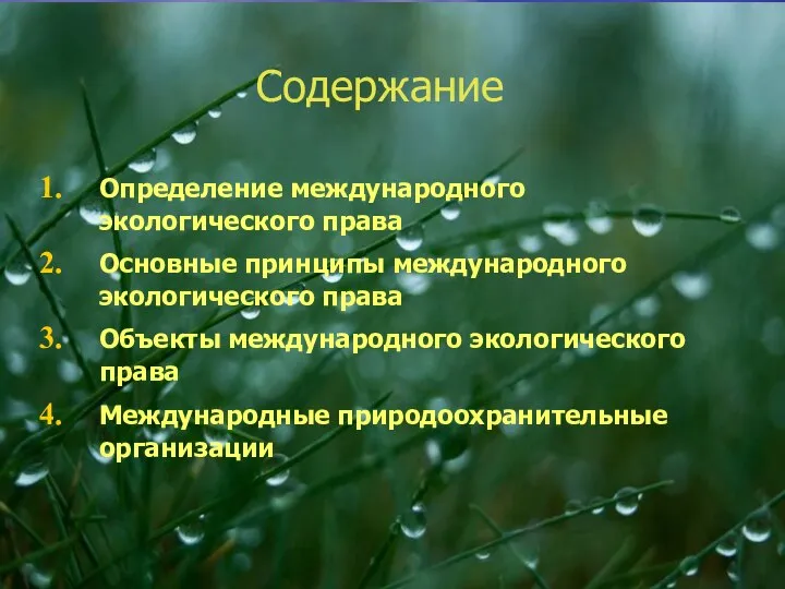 Содержание Определение международного экологического права Основные принципы международного экологического права Объекты