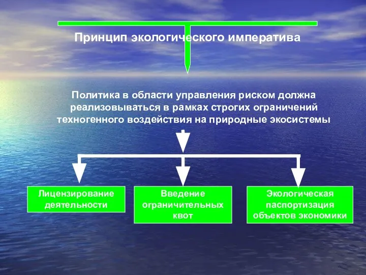 Принцип экологического императива Политика в области управления риском должна реализовываться в