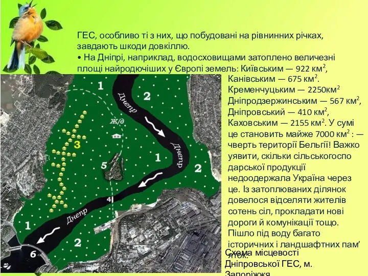 ГЕС, особливо ті з них, що побудовані на рівнинних річках, завдають