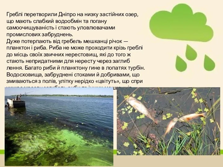 Греблі перетворили Дніпро на низку застійних озер, що мають слабкий водо­обмін