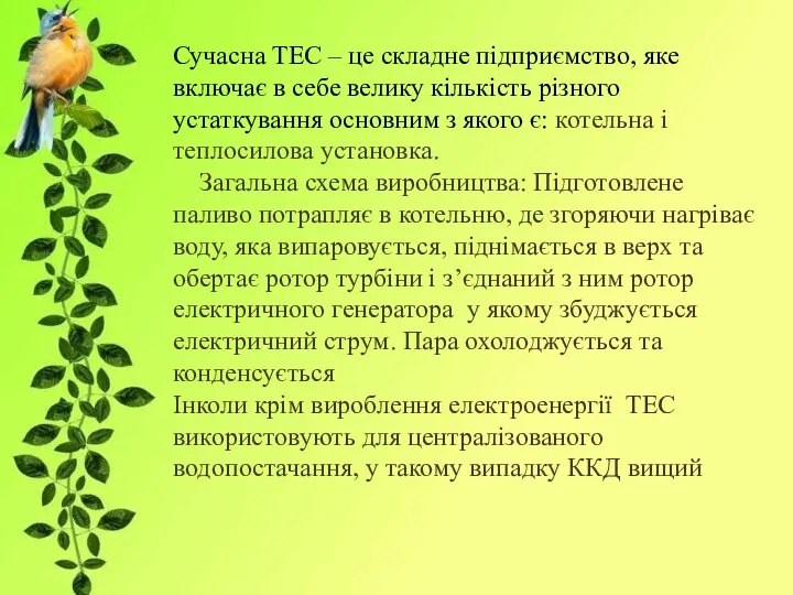 Сучасна ТЕС – це складне підприємство, яке включає в себе велику