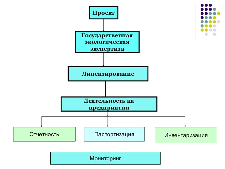 Проект Государственная экологическая экспертиза Лицензирование Деятельность на предприятии Отчетность Паспортизация Инвентаризация Мониторинг