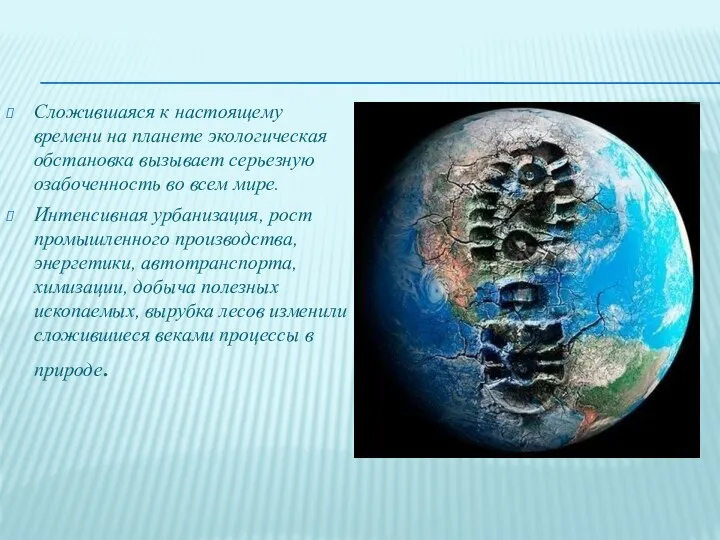 Сложившаяся к настоящему времени на планете экологическая обстановка вызывает серьезную озабоченность