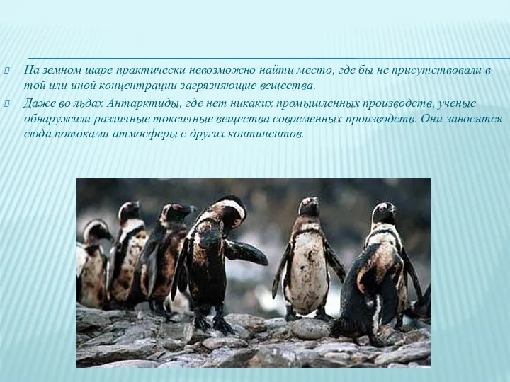 На земном шаре практически невозможно найти место, где бы не присутствовали