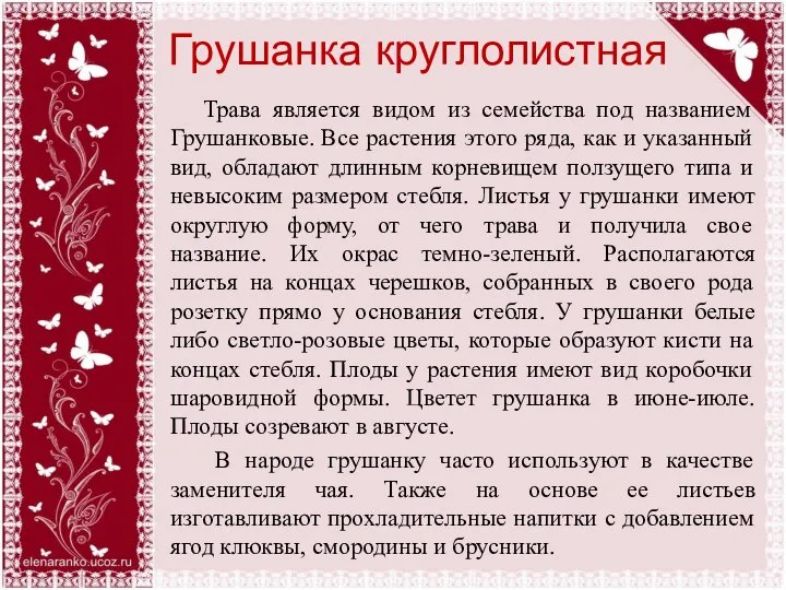 Грушанка круглолистная Трава является видом из семейства под названием Грушанковые. Все