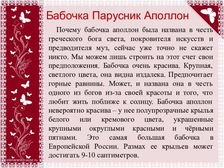 Бабочка Парусник Аполлон Почему бабочка аполлон была названа в честь греческого