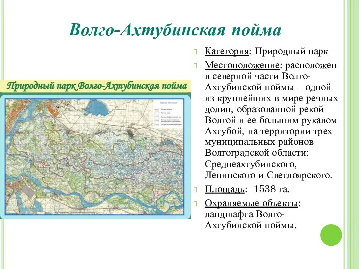 Волго-Ахтубинская пойма Категория: Природный парк Местоположение: расположен в северной части Волго-Ахтубинской