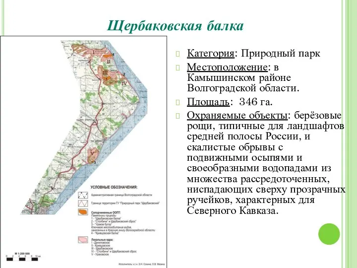 Щербаковская балка Категория: Природный парк Местоположение: в Камышинском районе Волгоградской области.