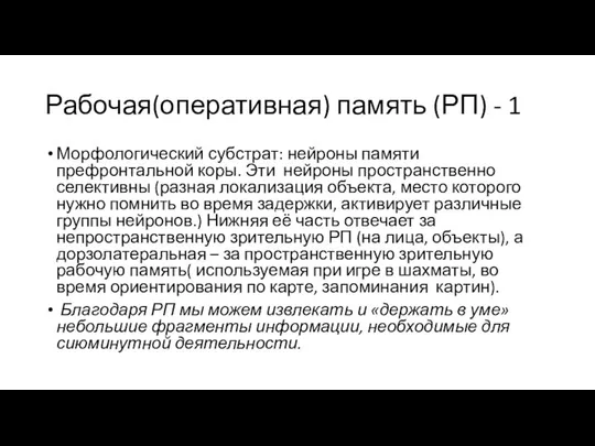 Рабочая(оперативная) память (РП) - 1 Морфологический субстрат: нейроны памяти префронтальной коры.