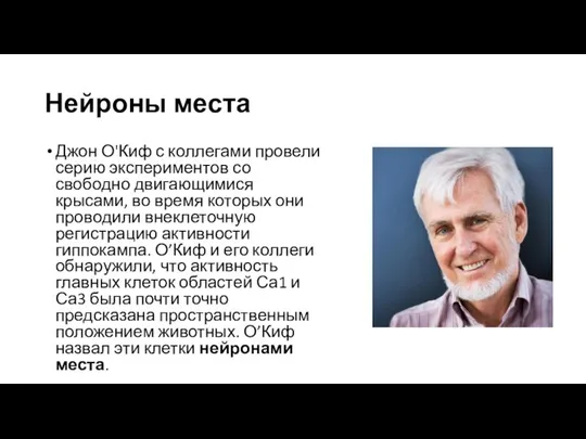 Нейроны места Джон О'Киф с коллегами провели серию экспериментов со свободно