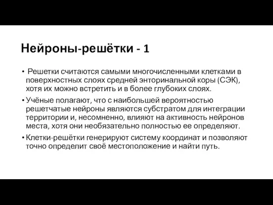 Нейроны-решётки - 1 Решетки считаются самыми многочисленными клетками в поверхностных слоях