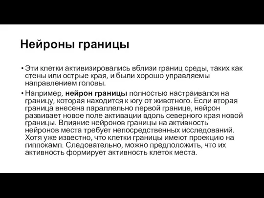 Нейроны границы Эти клетки активизировались вблизи границ среды, таких как стены