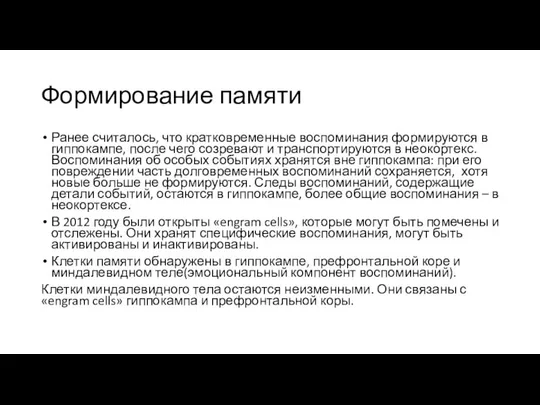 Формирование памяти Ранее считалось, что кратковременные воспоминания формируются в гиппокампе, после