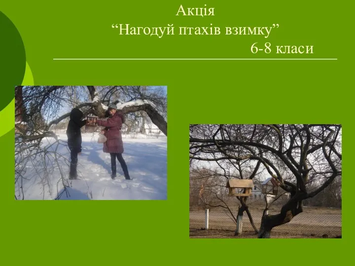 Акція “Нагодуй птахів взимку” 6-8 класи