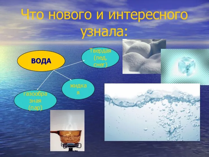 Что нового и интересного узнала: ВОДА газообразная (пар) жидкая Твердая (лед,