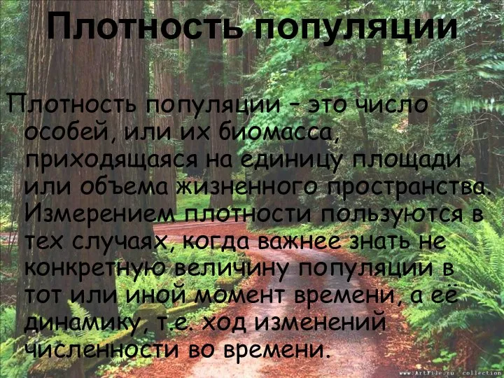 Плотность популяции Плотность популяции – это число особей, или их биомасса,