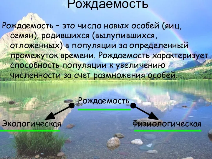 Рождаемость Рождаемость – это число новых особей (яиц, семян), родившихся (вылупившихся,