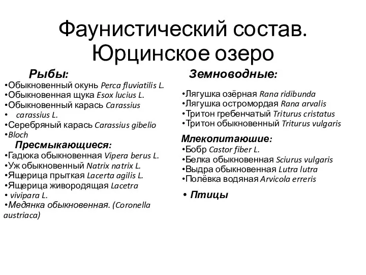 Фаунистический состав. Юрцинское озеро Рыбы: Обыкновенный окунь Perca fluviatilis L. Обыкновенная