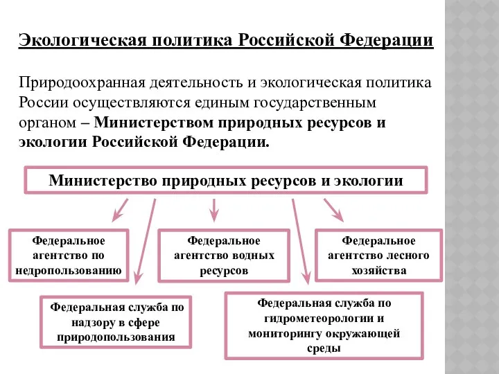 Экологическая политика Российской Федерации Природоохранная деятельность и экологическая политика России осуществляются