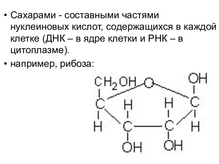 Сахарами - составными частями нуклеиновых кислот, содержащихся в каждой клетке (ДНК