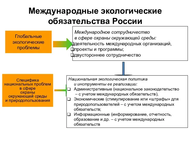 Международные экологические обязательства России Глобальные экологические проблемы Международное сотрудничество в сфере