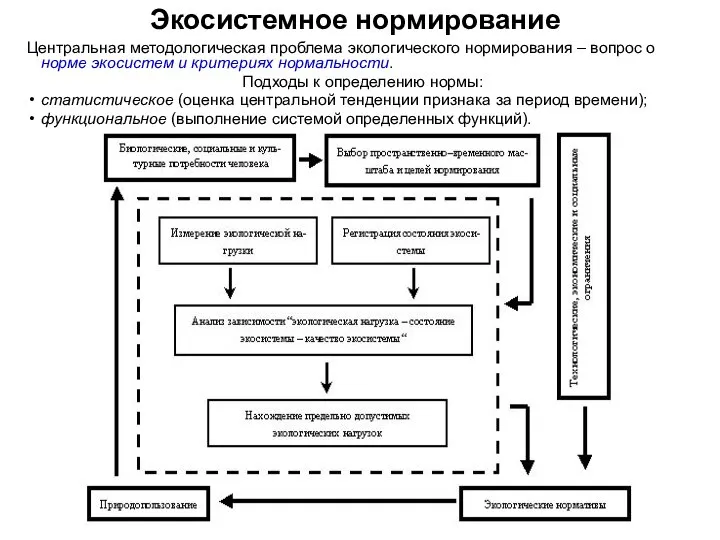 Экосистемное нормирование Центральная методологическая проблема экологического нормирования – вопрос о норме