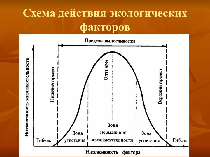 Схема действия экологических факторов