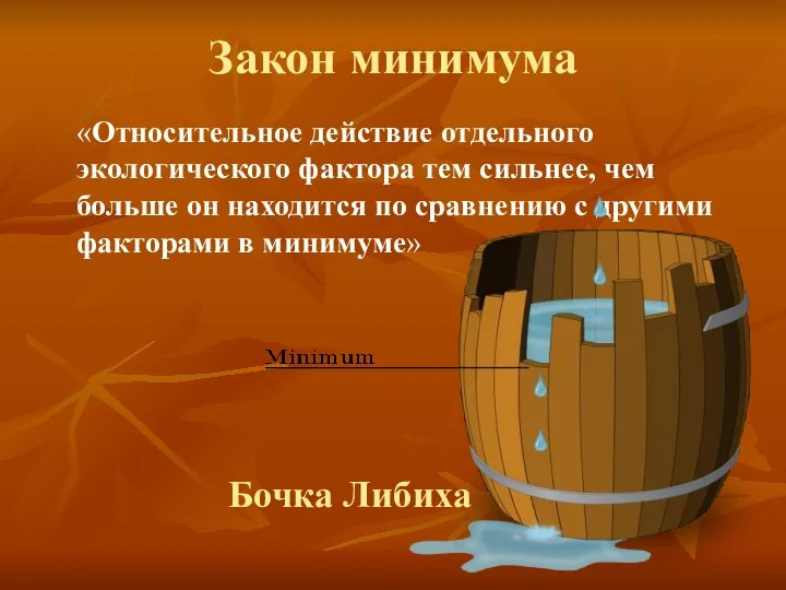 Закон минимума «Относительное действие отдельного экологического фактора тем сильнее, чем больше