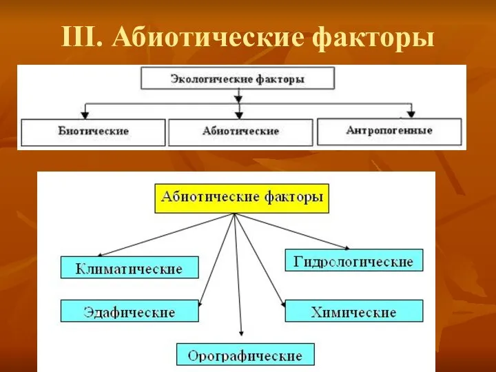 III. Абиотические факторы