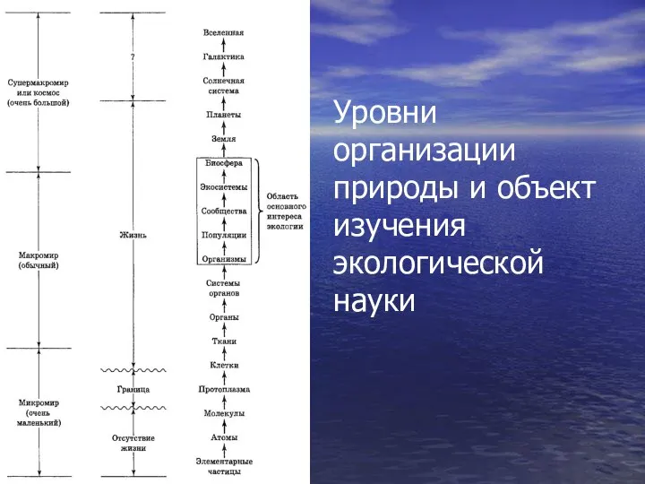 Уровни организации природы и объект изучения экологической науки