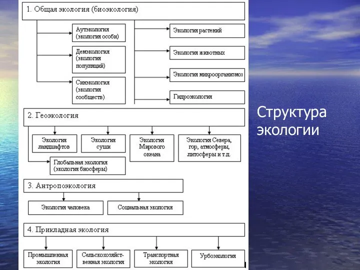 Структура экологии